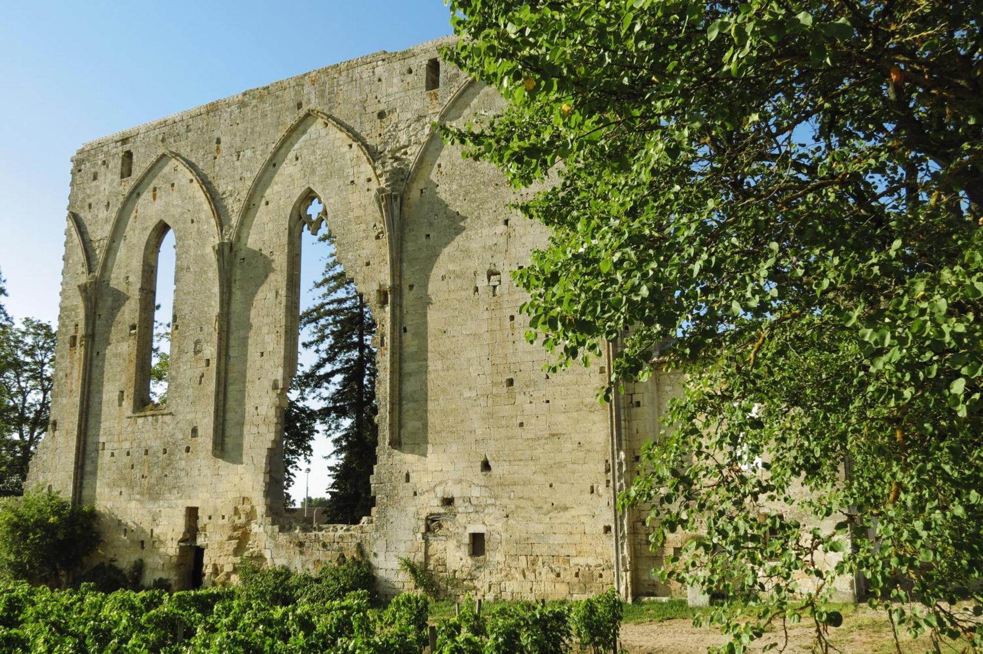 Bleu Raisin Les Salles-de-Castillon Exterior foto