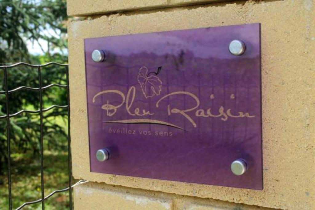 Bleu Raisin Les Salles-de-Castillon Exterior foto