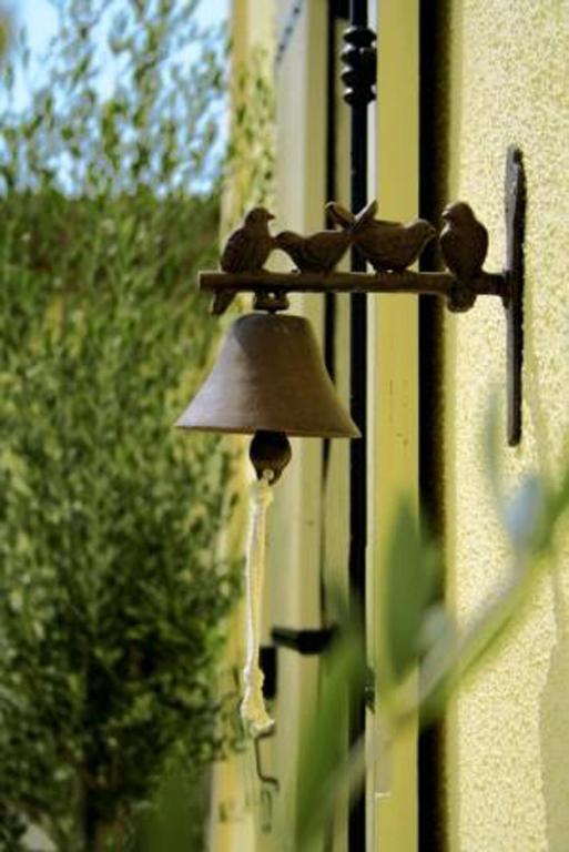 Bleu Raisin Les Salles-de-Castillon Exterior foto