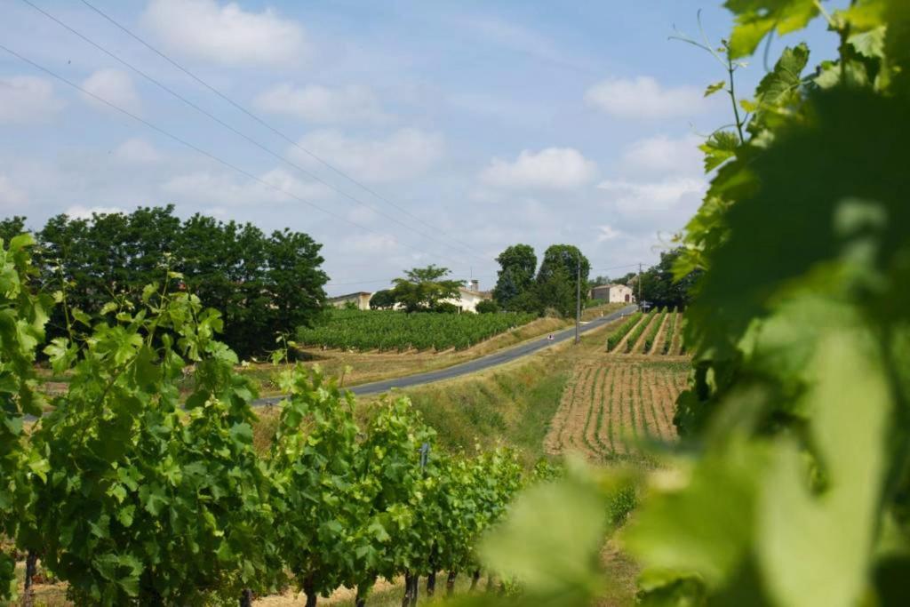 Bleu Raisin Les Salles-de-Castillon Exterior foto